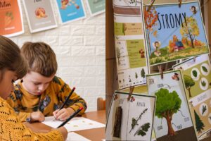 Stromy II. | Súkromná materská škola "Kreatívna škôlka"